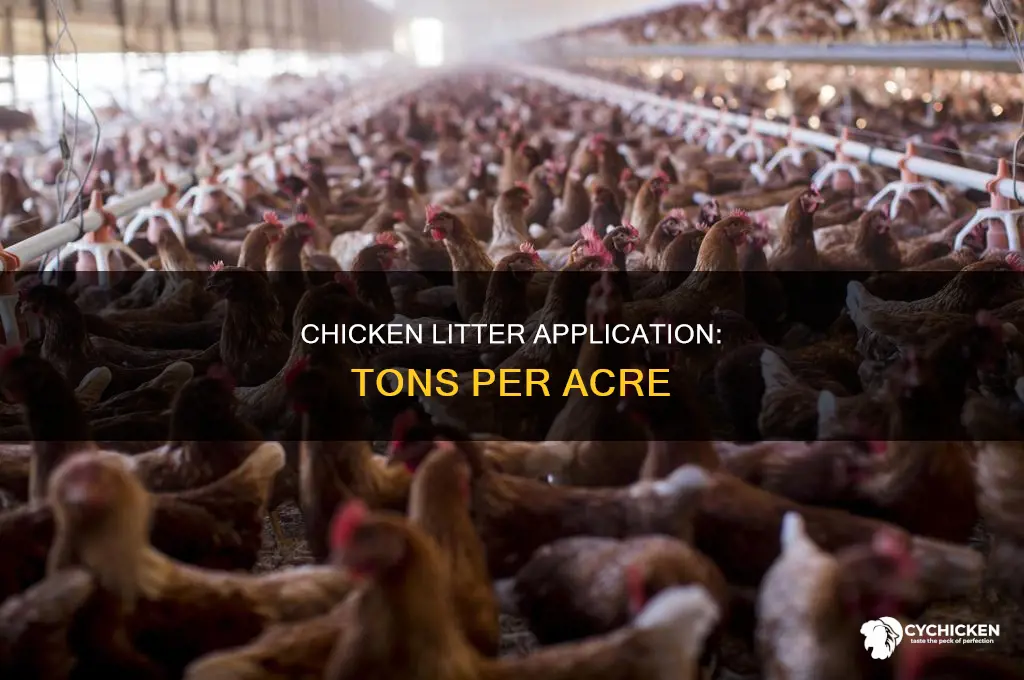 how many tons of chicken litter per acre