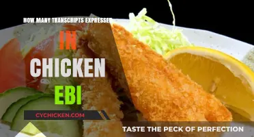 Exploring Chicken Ebi: Transcript Expression Levels and Insights