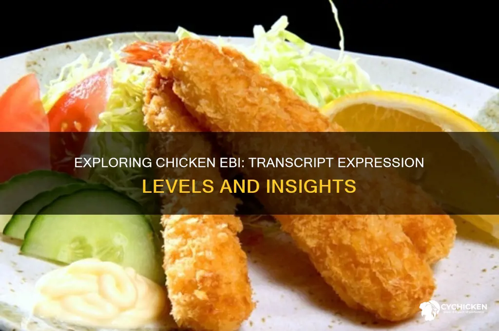 how many transcripts expressed in chicken ebi