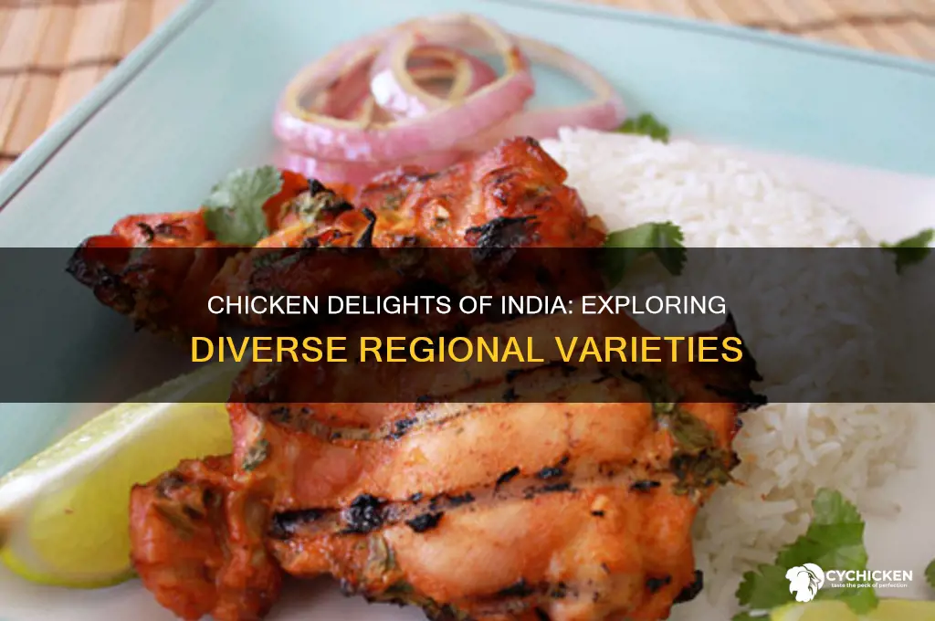 how many types of chicken dishes in india