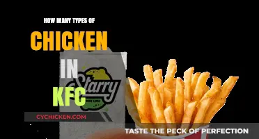 Exploring the Diverse Chicken Varieties on KFC's Menu