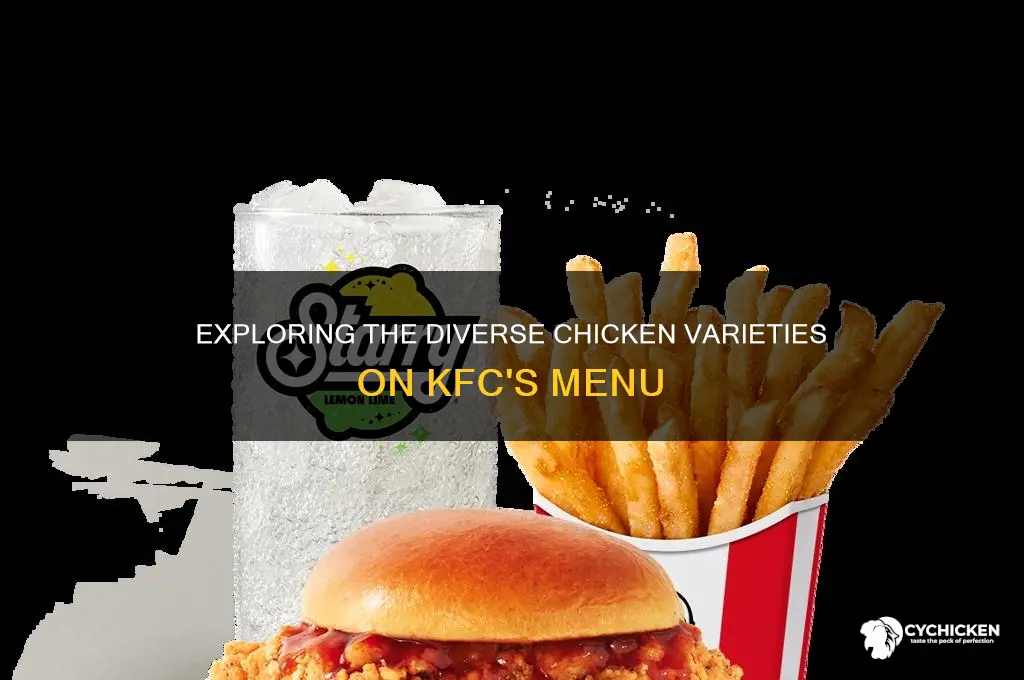 how many types of chicken in kfc