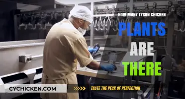 Exploring Tyson Foods: How Many Chicken Plants Operate Nationwide?
