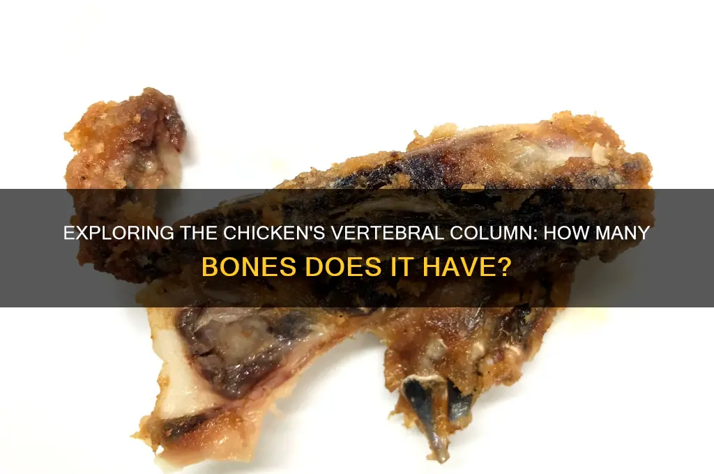 how many vertebrae does a chicken have