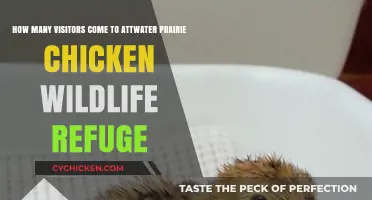 Exploring Attwater Prairie: Chicken Refuge Visitor Numbers
