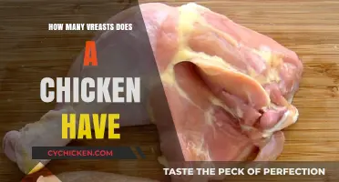 Unraveling the Mystery: How Many Breasts Does a Chicken Actually Have?