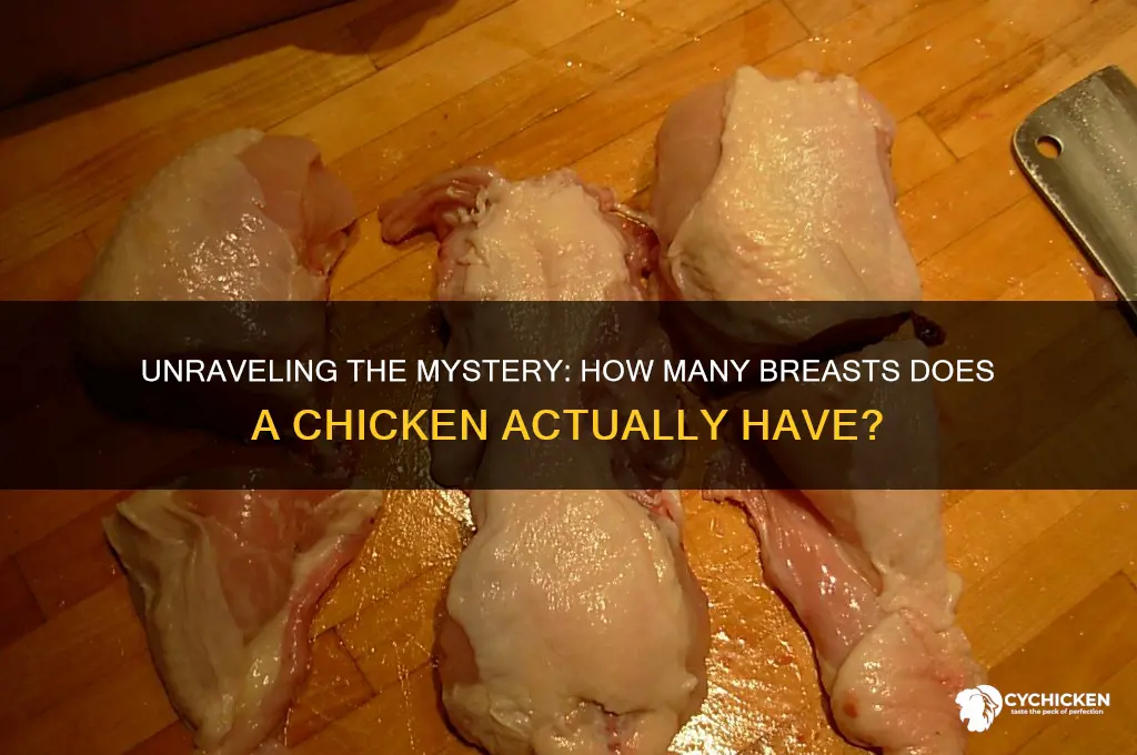 how many vreasts does a chicken have