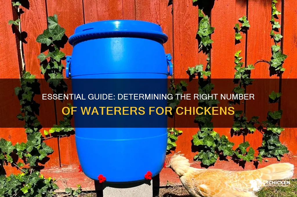 how many waterers does a chicken need