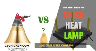 Choosing the Right Wattage for Your Chick Heat Lamp