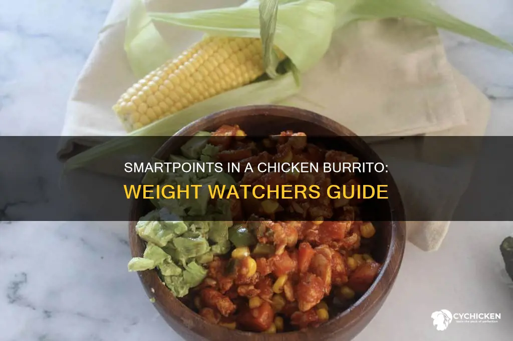 how many weight watchers points in a chicken burrito