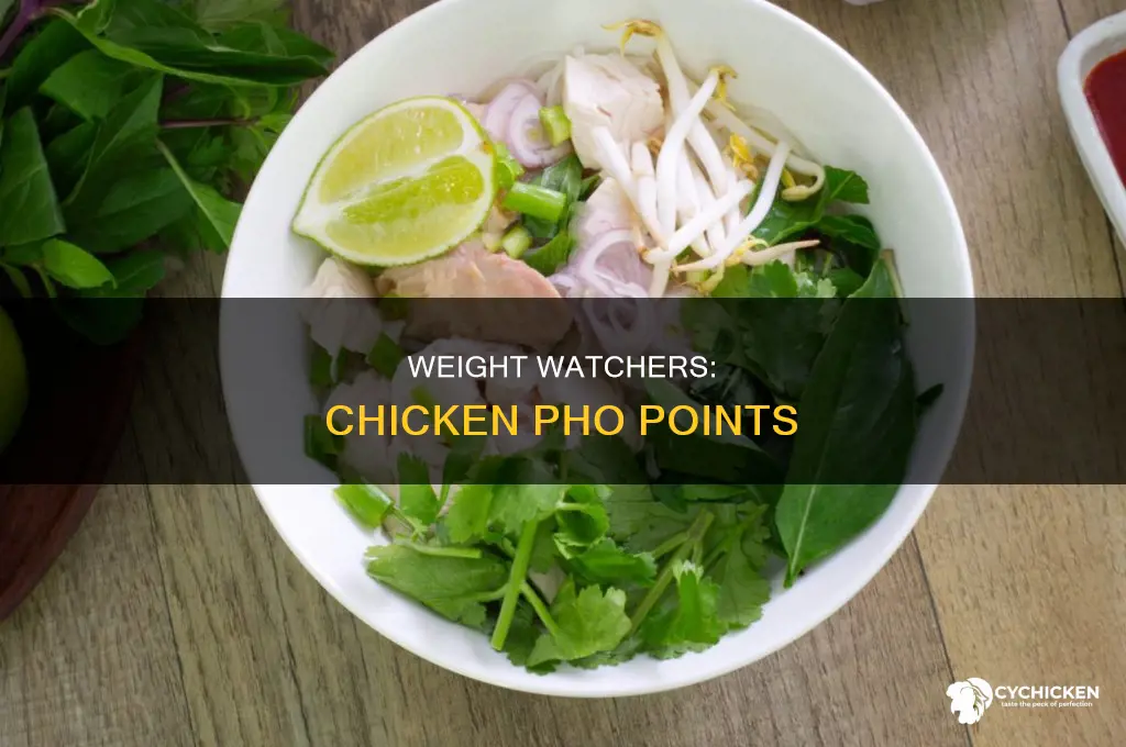 how many weight watchers points in chicken pho
