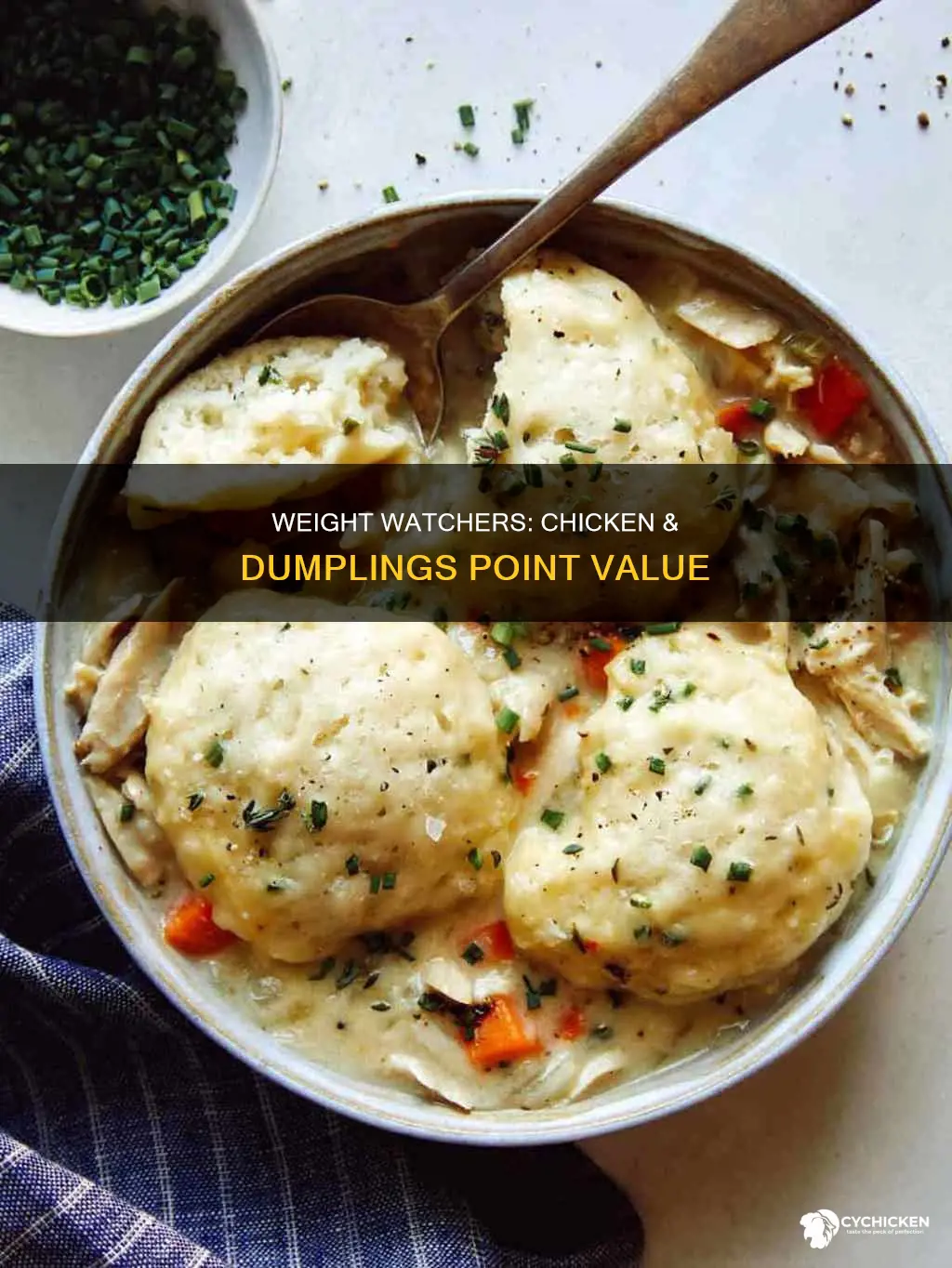how many weight watchers points is chicken and dumplings