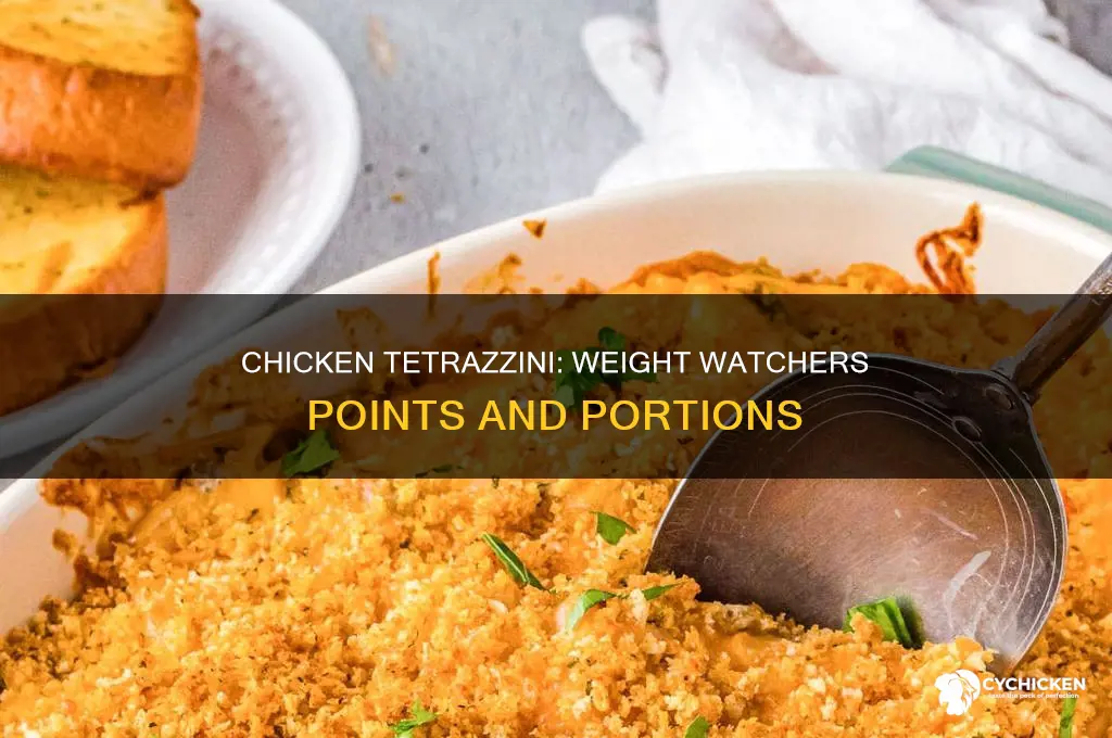 how many weight watchers points is chicken tetrazzini