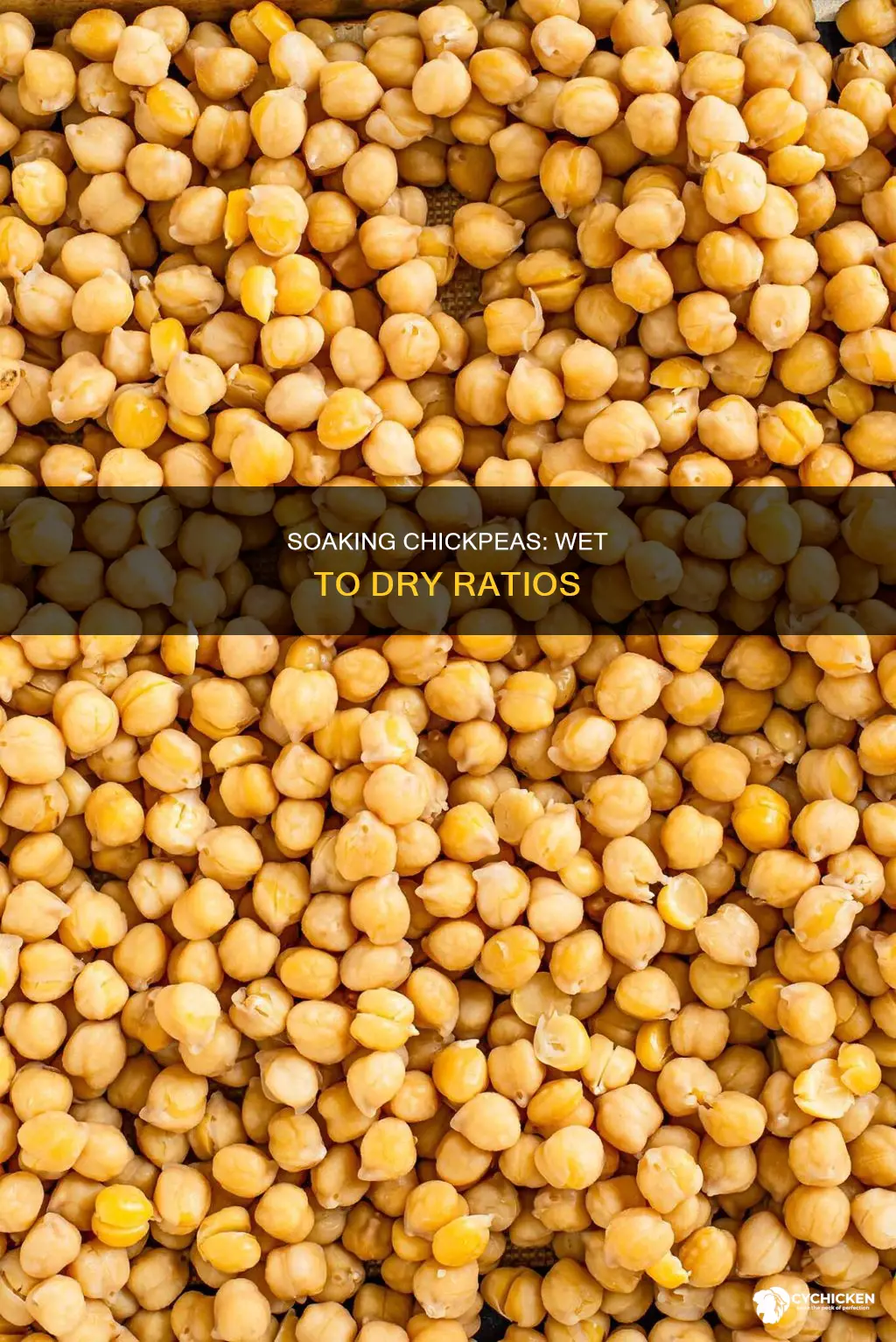 how many wet pounds per dry pound of chick peas