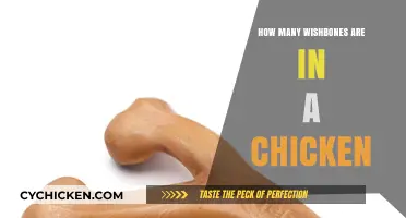 Unveiling the Truth: How Many Wishbones Does a Chicken Have?