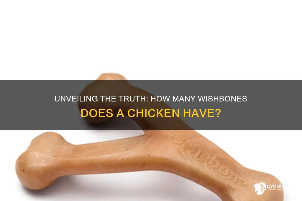 how many wishbones are in a chicken