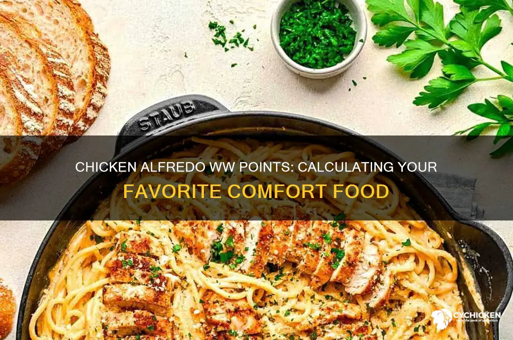 how many ww points in chicken alfredo