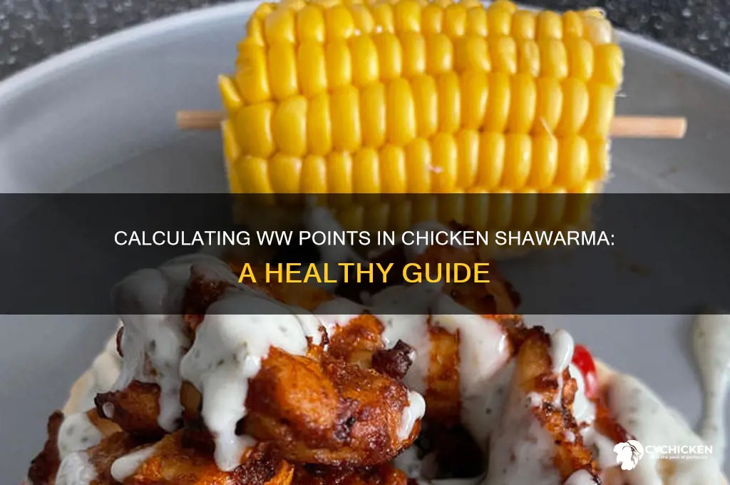 how many ww points in chicken shawarma