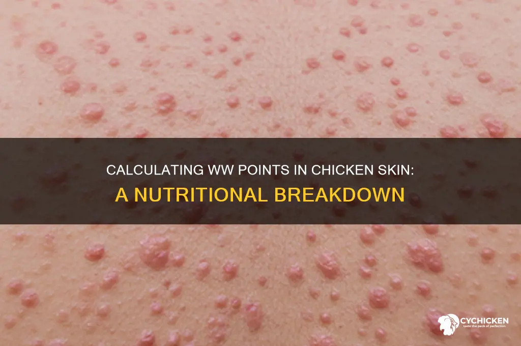 how many ww points in chicken skin
