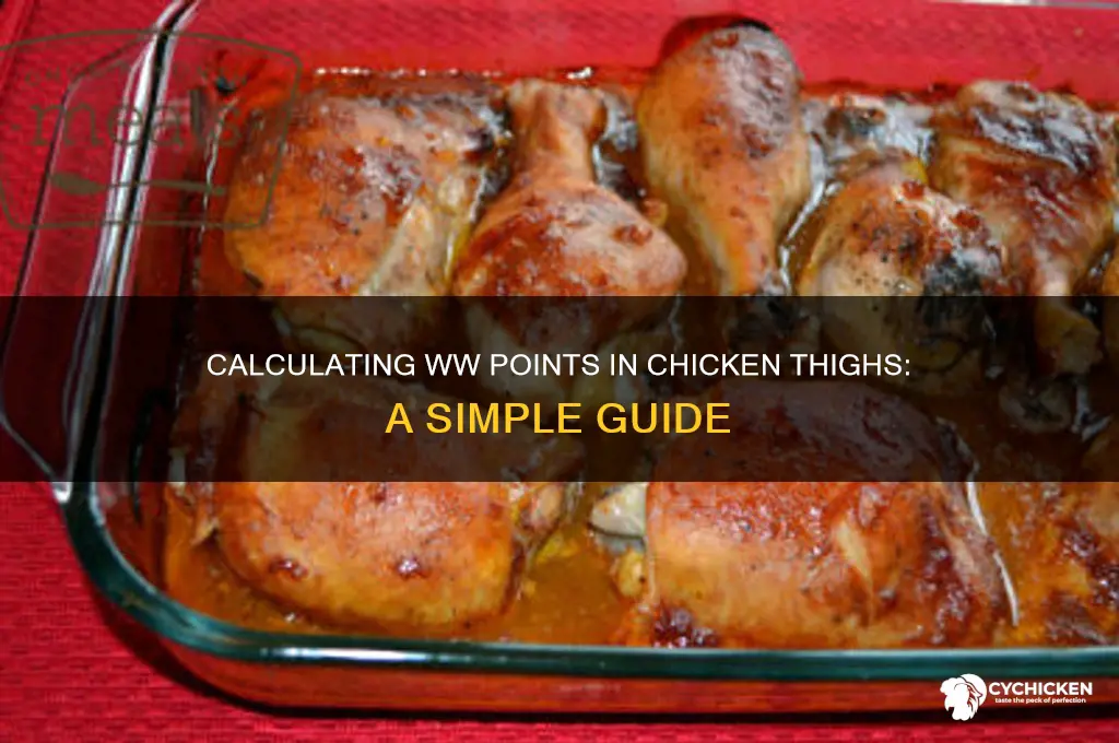 how many ww points in chicken thighs