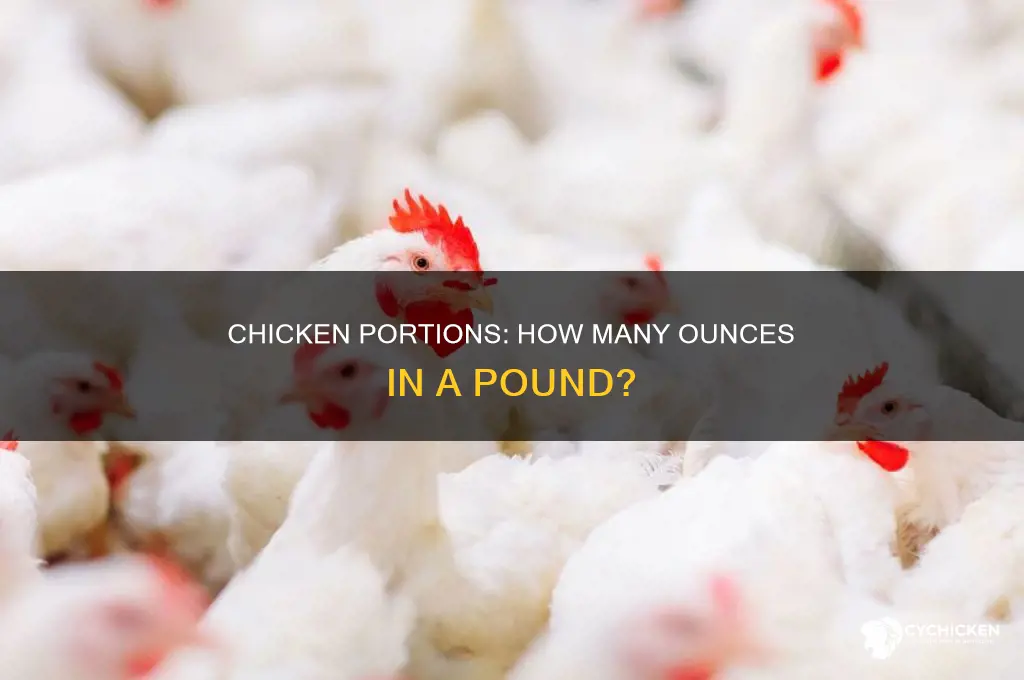 how may ounes in a pound of chicken