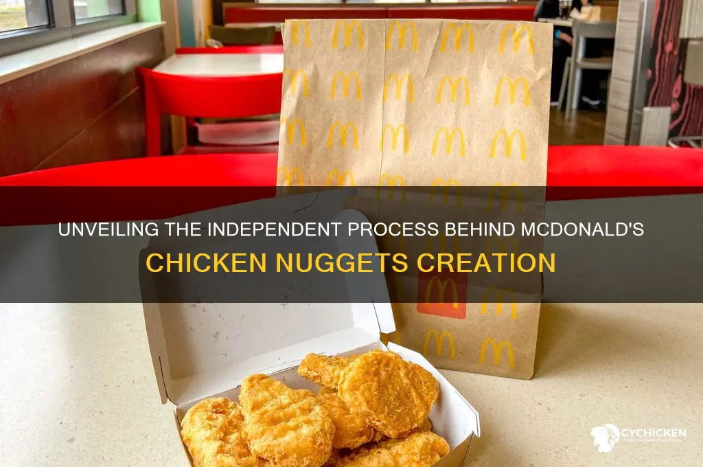 how mcdonalds chicken nuggets are made independent