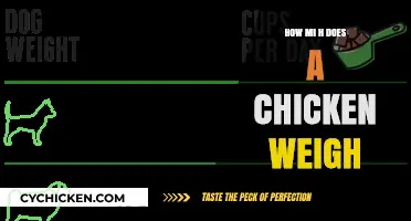 Understanding Chicken Weights: How Much Does a Chicken Weigh?