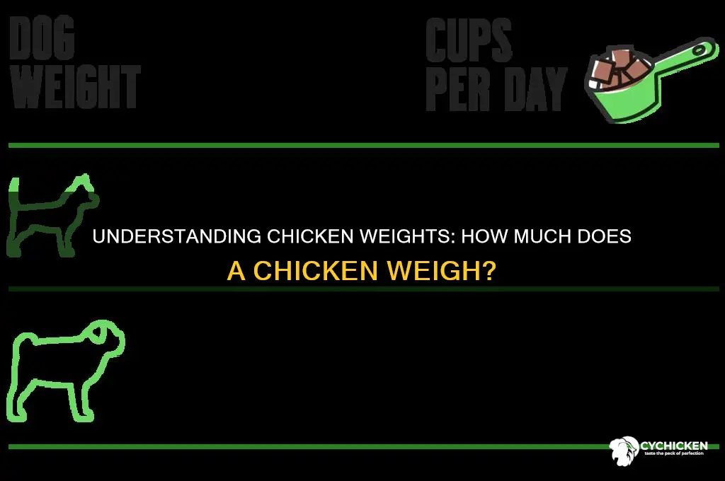 how mi h does a chicken weigh