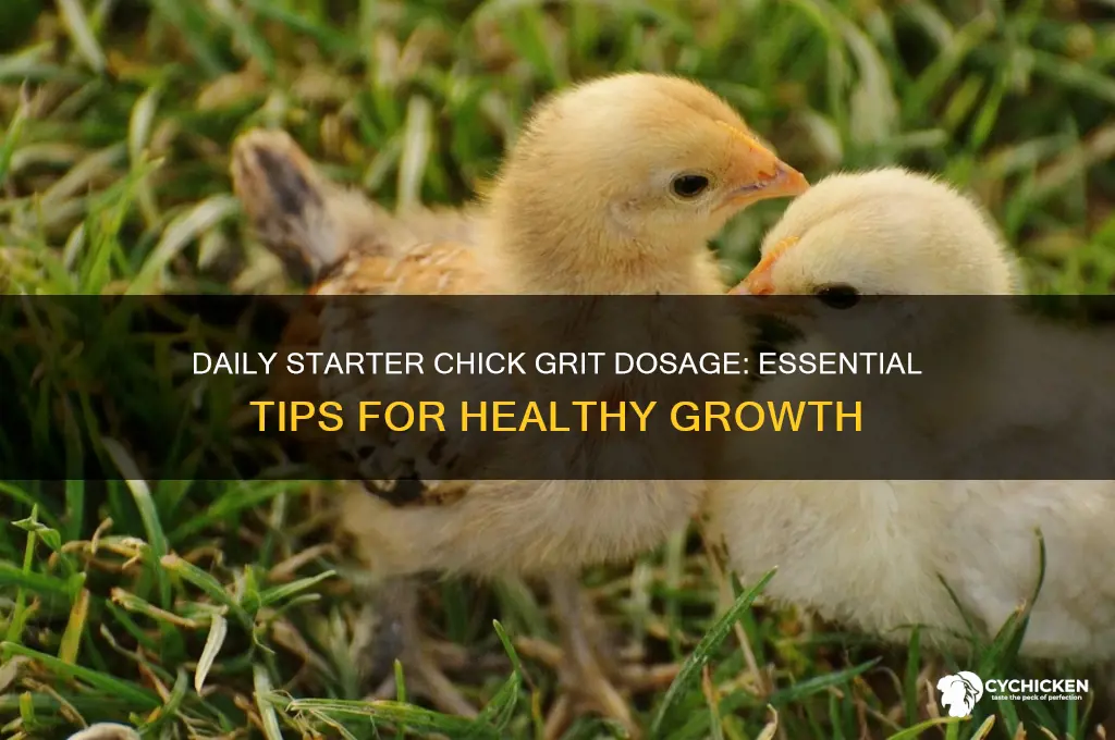 how mich starter chick grit give everyday