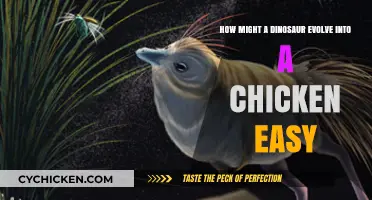 Evolution's Twist: Dinosaurs to Chickens