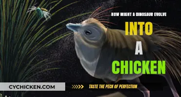 Evolution's Mystery: Dinosaurs to Chickens