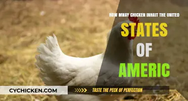 Chicken Population: America's Feathered Friends Count