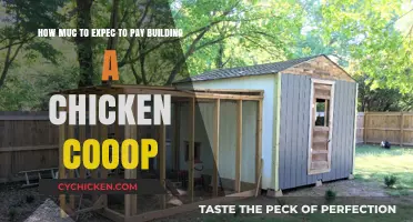 Building a Chicken Coop: What's the Cost?