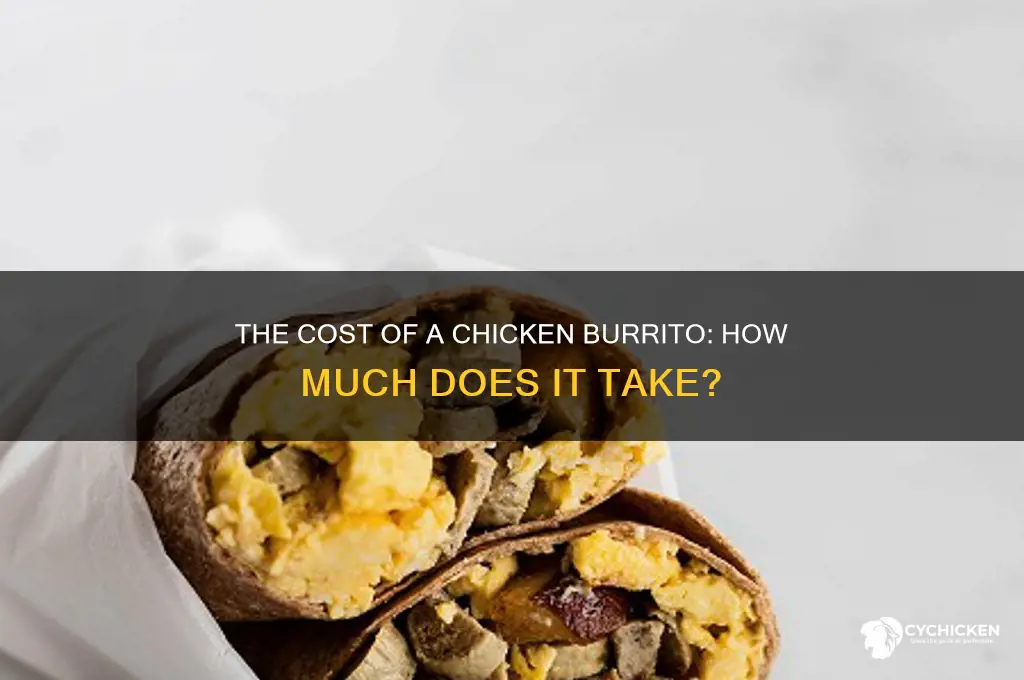 how muchbdoes it cost for a chicken burritofrom