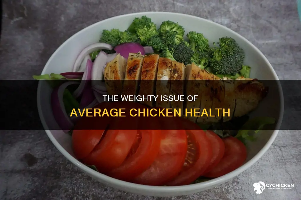 how muchbdoesnthe average chicken theogh wei f h
