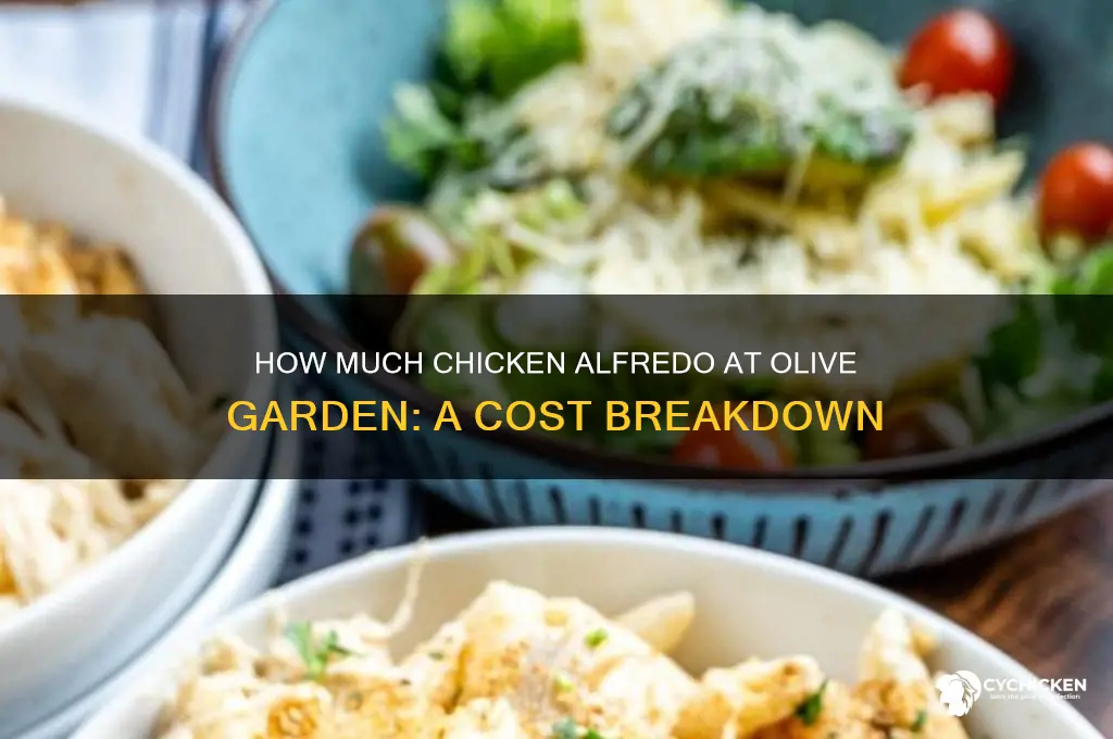 how muh id chicken alfrado at olivegarden