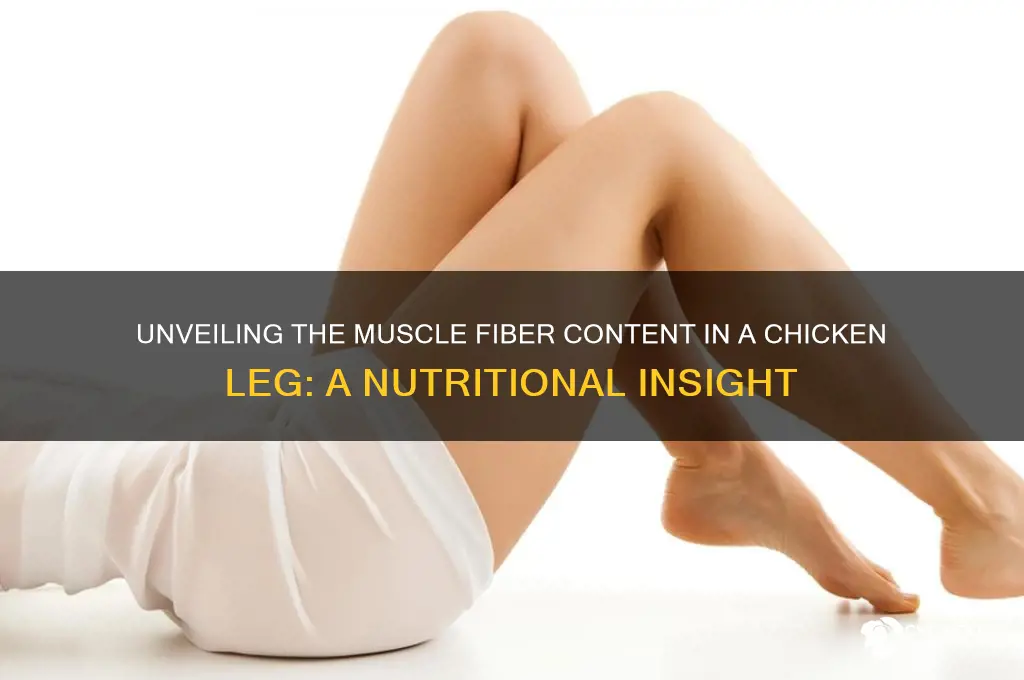 how musc fiber in a chicken leg