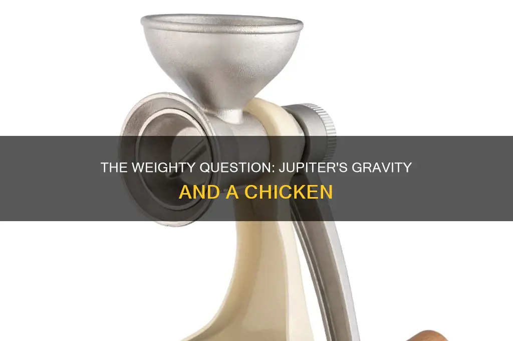 how musch would a chicken weigh on juppiture