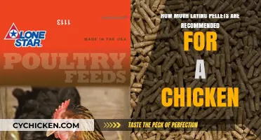 Chicken Laying Pellets: How Much is Enough?