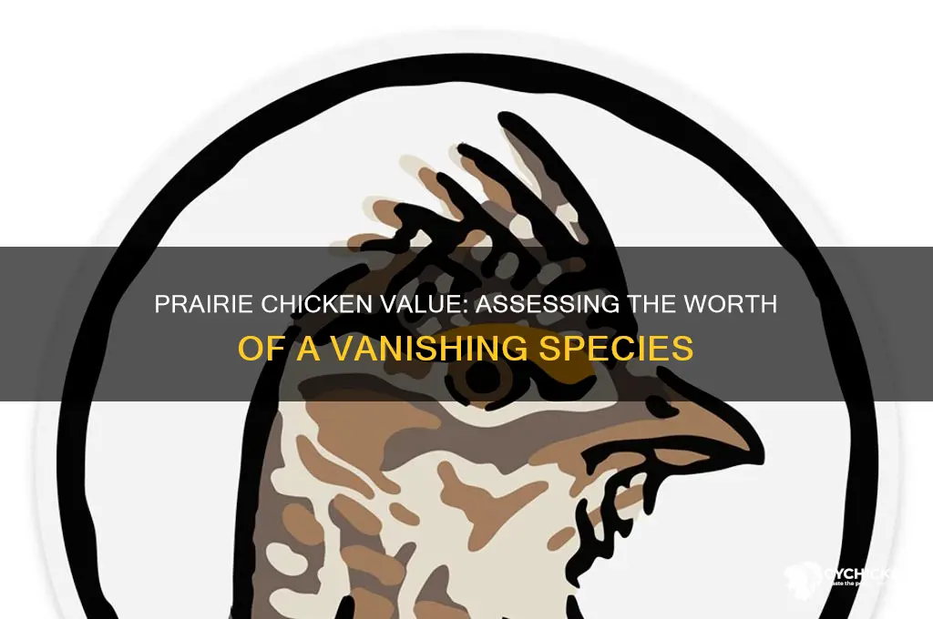 how mych is the prairie chicken worth