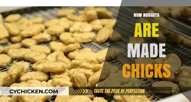 From Hatch to Harvest: The Surprising Journey of Chick Nuggets