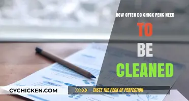 Chick Pens: Cleaning Frequency and Best Practices