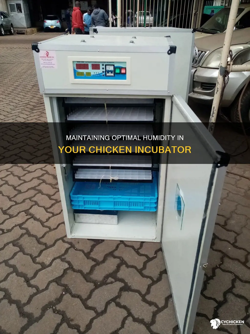 how often do i put water in my chicken incubator