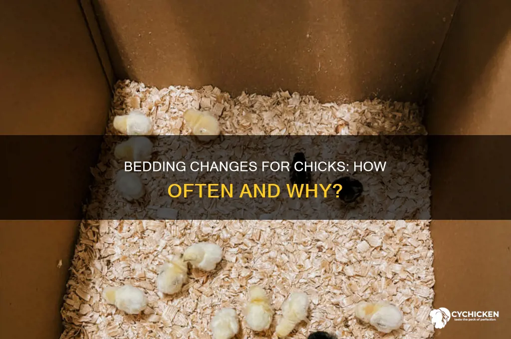 how often do you change bedding for chicks