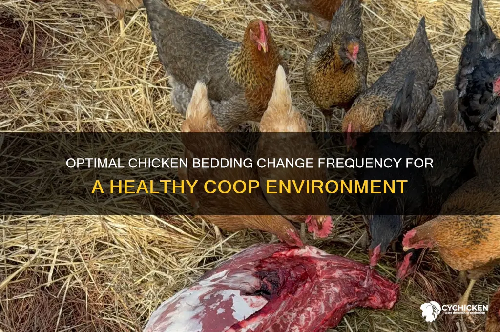 how often do you change chicken bedding