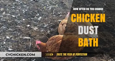 Refresh Your Chicken's Dust Bath Regularly