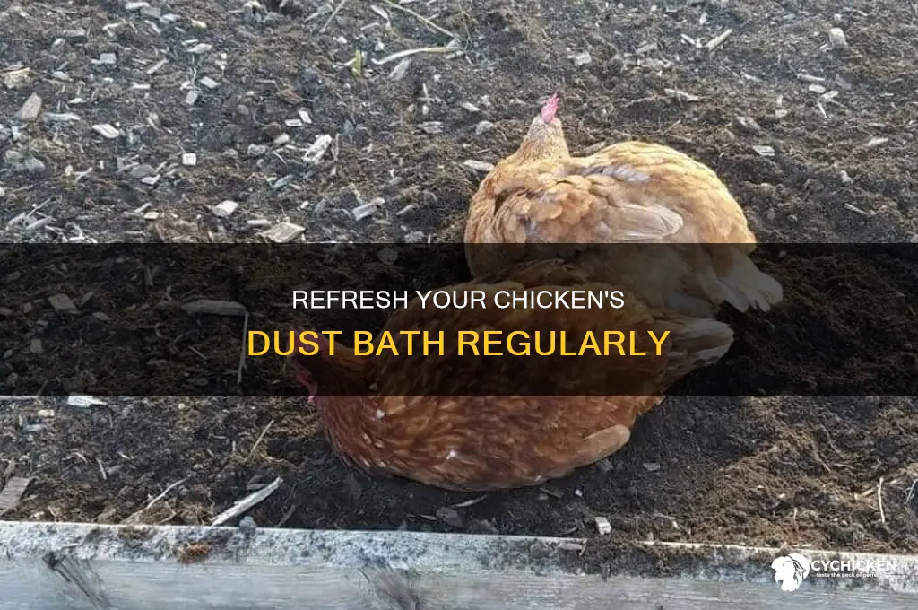 how often do you change chicken dust bath