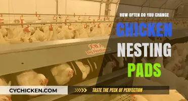 The Importance of Regularly Changing Chicken Nesting Pads