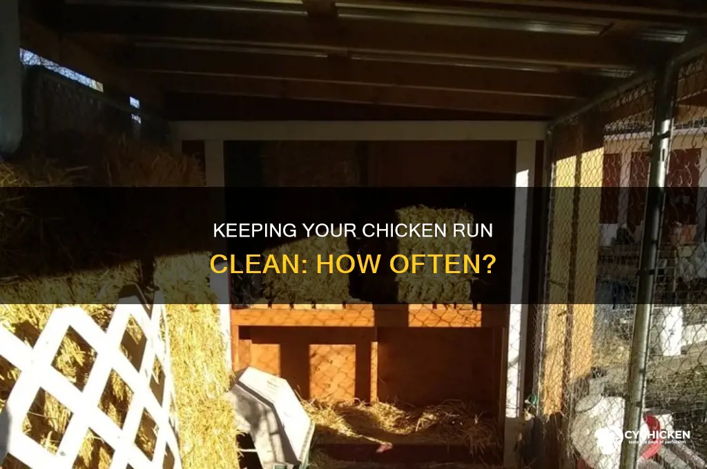 how often do you clean a chicken run