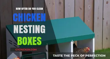 Clean Nesting Boxes: How Often and Why It's Important